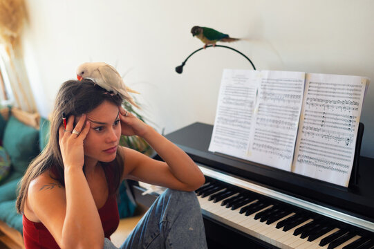 Annoyed woman with two parakeets playing piano at home