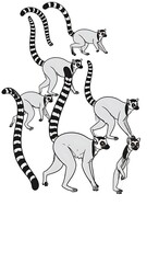 Fototapeta premium A black-and-white illustration of lemurs interacting