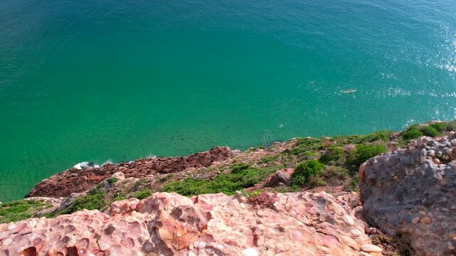 Smelly seal colony basking in sun on shore and frolicking in clear ocean water