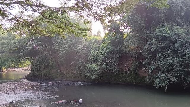 Scenic wide view of a flowing natural river surrounded by dense green forest trees and foliage