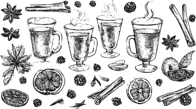 Created on Hand drawn glasses of mulled wine. Sketch style set of ingredients for mulled wine. Anise, cinnamon, orange, lime, cloves, raspberry vector art on white background