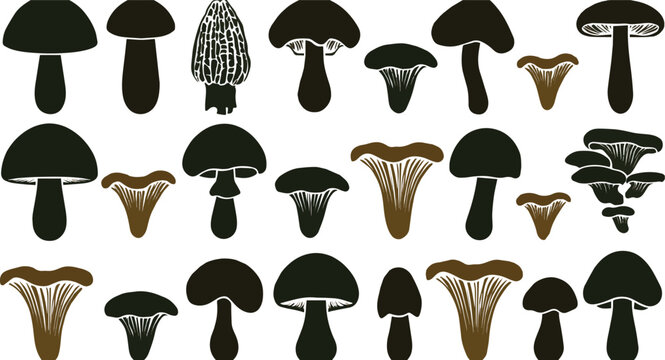 Created on Mushroom fungi toadstool morel chanterelle oyster silhouette icons vector art on white background