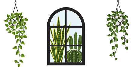 Illustration of hanging indoor plants and window with succulents © zahra arzety