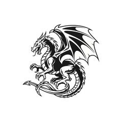 Fototapeta premium A detailed black and white illustration of a fierce mythical dragon in a dynamic pose.