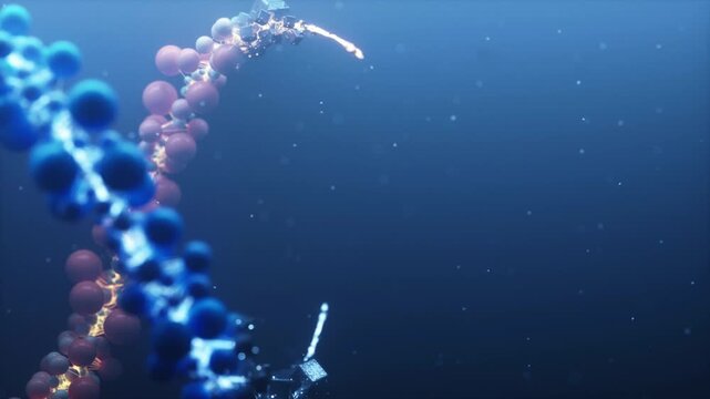Growing DNA Strands Synthesis Animation with Genetic Code Replication and Advanced Biotech Embryo Evolution Experiment in 4K Ultra HD footage
