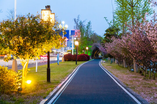 The asphalt road in the park at night