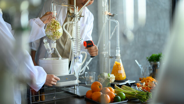 Scientists Extracting Essential Oils from Fresh Fruits and Vegetables Using Laboratory Distillation Equipment