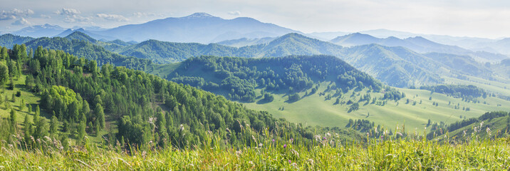 Obraz premium View of the mountain valley, summer greenery, sunny day, panoramic view