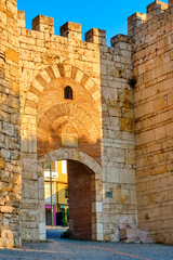 Fototapeta premium Ancient Fortress Gate with Stone Walls in Bursa, Turkey