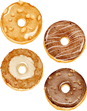 Handdrawn Donuts Doughnuts Set Bundle Realistic Watercolor Illustration | Bakery Cafe Food Snack Dessert Menu Element Clipart PNG