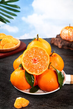 Fresh Cut Citrus Fruits with Grapefruit Halves on White Plate