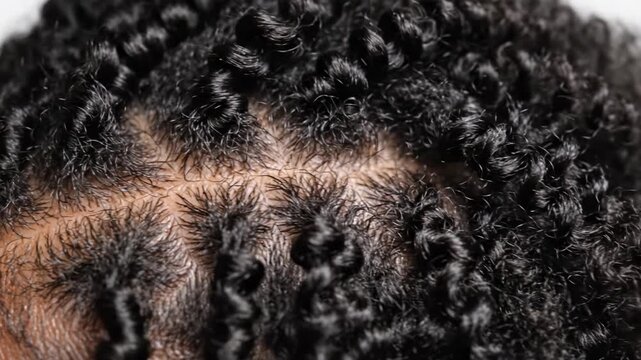 Macro view of natural curly black hair and scalp. Highlighting hair texture and healthy growth. Suitable for beauty and dermatology topics.