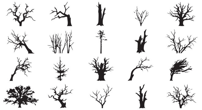 dead tree.