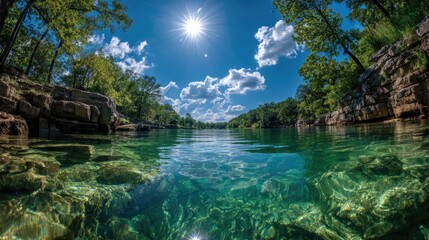 Fototapeta premium Crystal clear water reveals rocky riverbed below sun-drenched trees