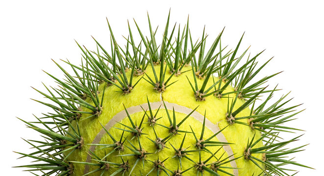 Surreal Tennis Ball with Sharp Cactus Thorns on White