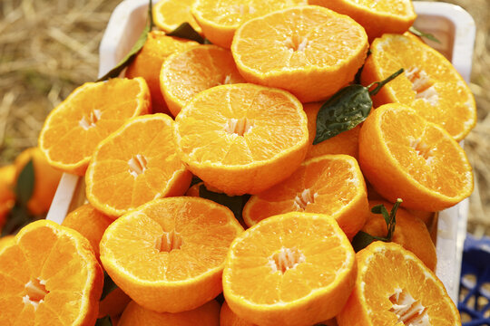 Fresh Cut Orange Halves - Juicy Citrus Fruit Display