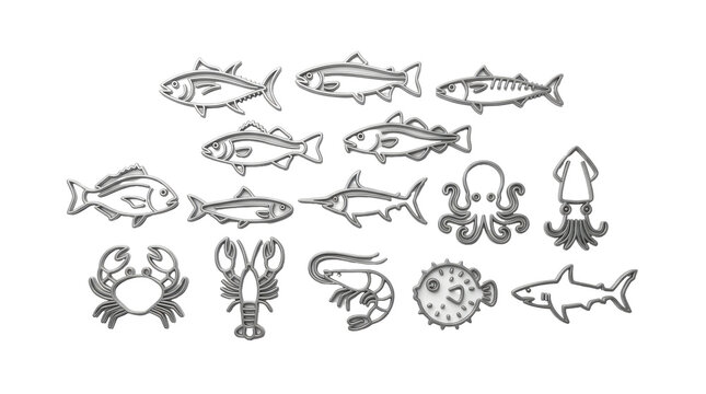A collection of various sea creatures including fish, crustaceans, and mollusks in simple line drawings on a white background.