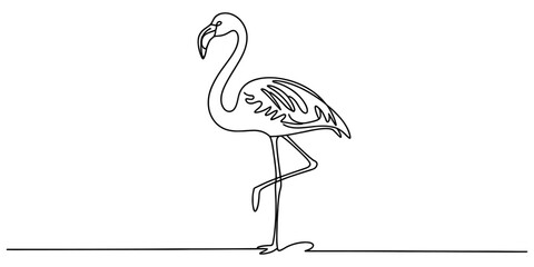 Continuous single line drawing of a flamingo standing on one leg Vector, illustration © Alo 2026 Arts