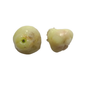 Two small green unripe wax apples on a transparent background, studio shot, healthy food concept