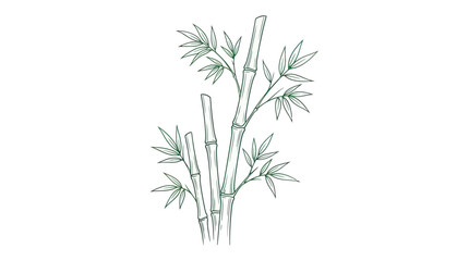 Fototapeta premium Bamboo stalks and leaves in a minimalist hand drawn style