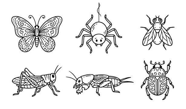 Doodle Insect Vector Set with Butterfly Spider Fly Locust Mole Cricket and Beetle Illustrations
