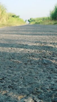 Static Low Angle Shot of Empty Asphalt Road Texture in Rural Sugarcane Plantation, 1080p