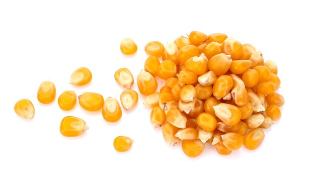 Glossy Yellow Corn Kernels Scattered on White Background