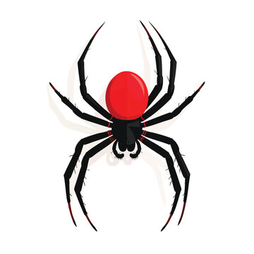 Stylized black spider illustration with a prominent red abdomen.