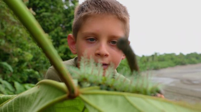 Boy animal lover examines large caterpillar crawling on green leaf. Child observes spiny insect with curiosity in tropical environment with lush vegetation and overcast sky in background.