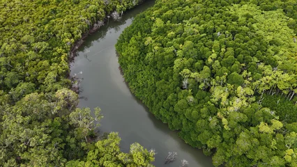 Aerial View of a Winding River Through Dense Australian Rainforest Canopy © blueringmedia