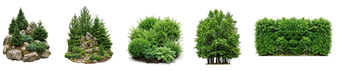 Fototapeta premium A row of different types of evergreen plants are displayed against a png transparent. The plants include a rock, a small coniferous tree, a larger coniferous tree with moss, a shrub