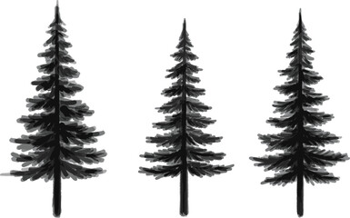 Evergreen pine spruce fir trees sketches mockups set, coniferous forest nature symbols vector illustrations © Afsana