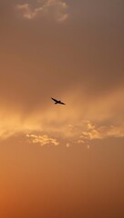 Fototapeta premium Airplane flying above dramatic sunset clouds with warm golden light and soft haze