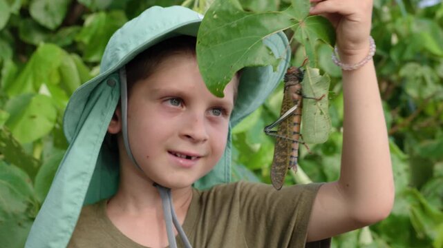 Curious child wearing teal sun hat examines large tropical grasshopper clinging to green leaf. Boy shows fascination while holding insect in lush garden setting with vibrant foliage background.