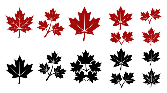Maple leaf icons in red and black silhouette styles