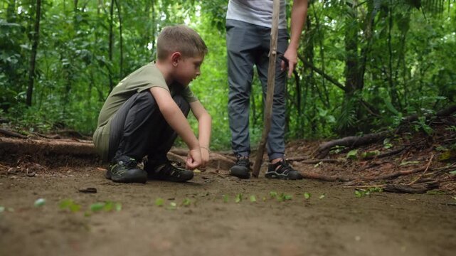 Young boy crouches on dirt path observing small ants carrying tiny green leaves across the ground. Adult with walking stick stands nearby in lush tropical forest with dense vegetation.