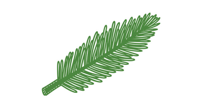 Green Fir Tree Branch Illustration.