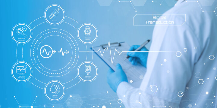 Healthcare professional analyzing digital medical signal transmission and remote patient monitoring technology