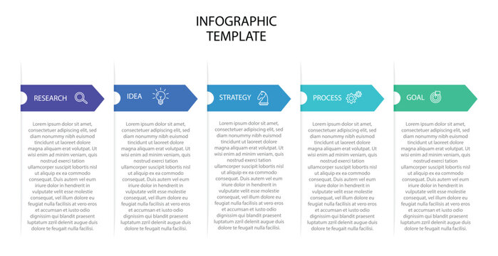 Infographic template for business concept. 5 options or steps. Thin line vector. Timeline designed for business, presentations, web design, interface, diagrams, banners, printed materials, flow charts