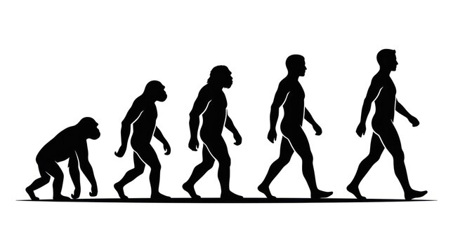 Evolution of human from ape to man.