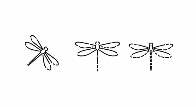 Illustrated dragonfly trio with delicate wing patterns.