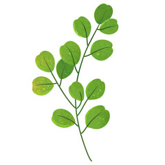 Obraz premium Leaf Watercolor Element Art illustration 