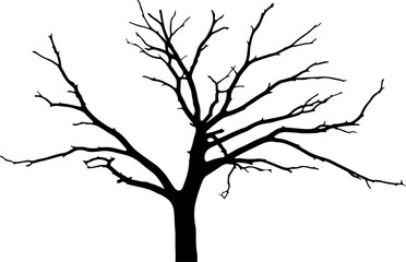 Fototapeta premium Bare tree, black silhouette, leafless branches, vector icon