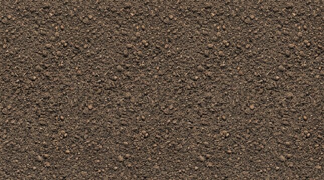 Rich Dark Soil Texture, Earthy Ground Surface, Organic Garden Bed Background, Natural Loam Topsoil Pattern
