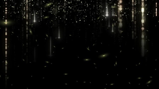 Light streaks fall in a vertical orientation across a black field creating a radiant and sophisticated effect.