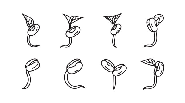 Eight bean sprouts growing with delicate leaves in a line during studio lighting