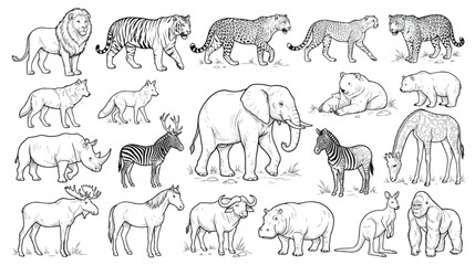 Vintage hand drawn wild animal collection, 20 black and white safari animal sketches, engraved style zoo wildlife vector set for coloring books © chouadhrynuman
