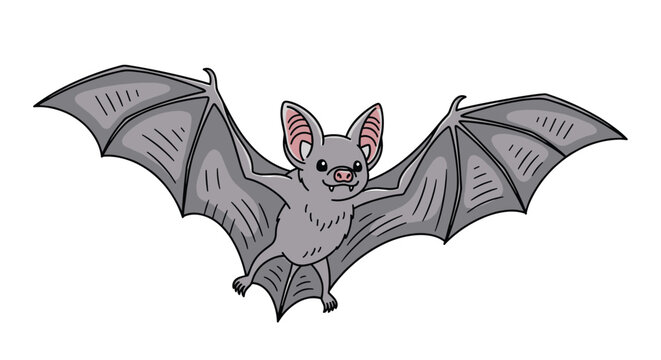 Grey fruit bat flying with its wings fully spread showing pointed ears and sharp little teeth on a white background for animal themes.