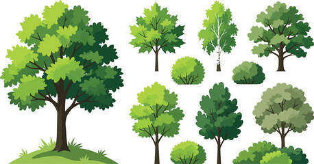 Fototapeta premium Collection of various deciduous trees and green bushes isolated on white background for landscape design and architectural visualization projects
