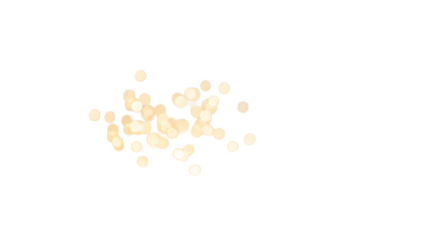 Scattered small beige round objects on transparent background